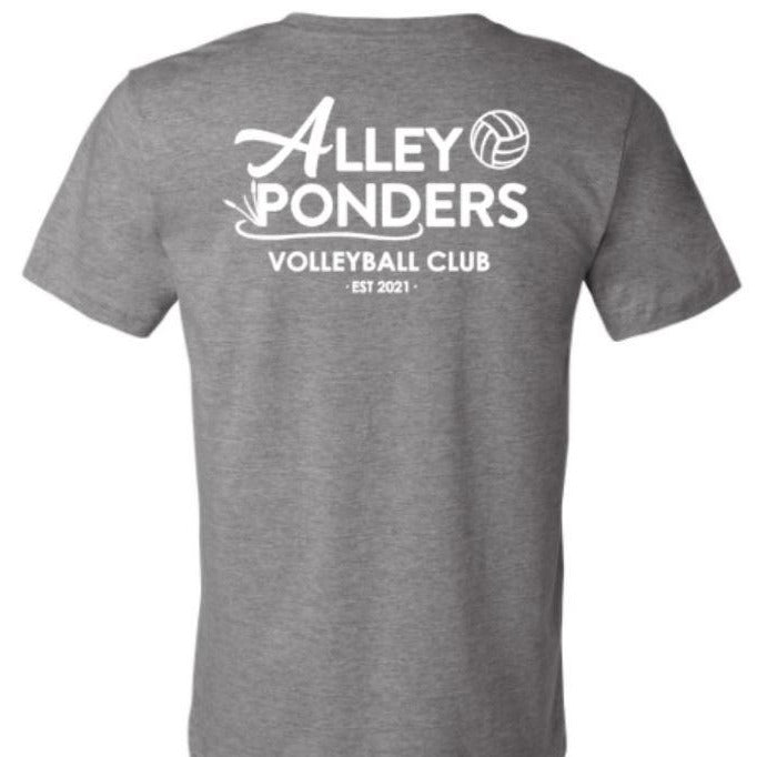 Alley Pond Volleyball Tee | Grey