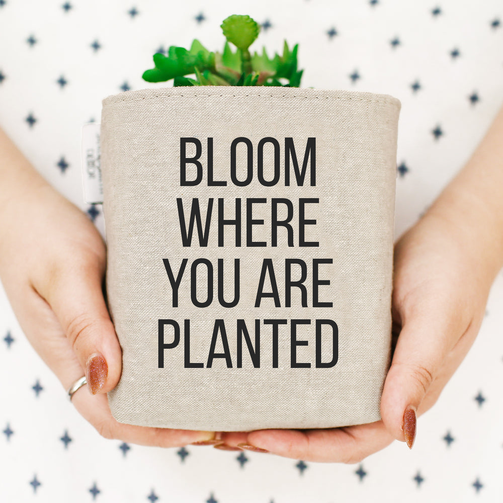 Bloom Planted | Desk Bin